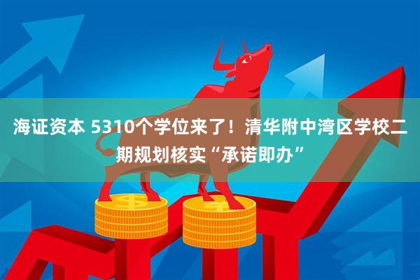 海证资本 5310个学位来了！清华附中湾区学校二期规划核实“承诺即办”