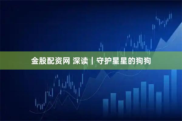 金股配资网 深读｜守护星星的狗狗