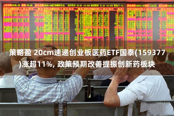 策略盈 20cm速递创业板医药ETF国泰(159377)涨超11%, 政策预期改善提振创新药板块